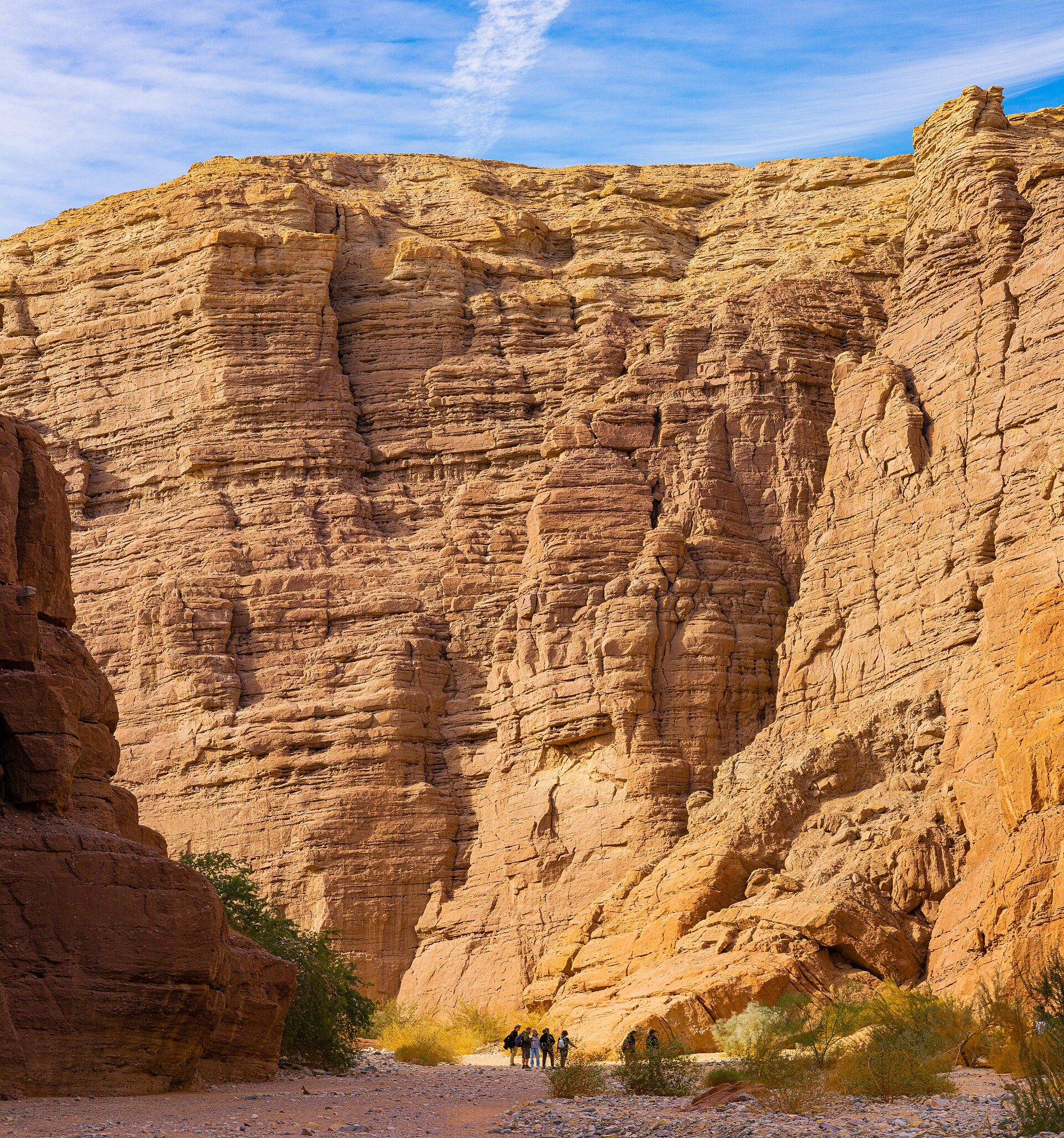 Narrow, layered sandstone walls of a slot canyon in the Mecca Hills, with a wooden ladder leaning against a dry fall